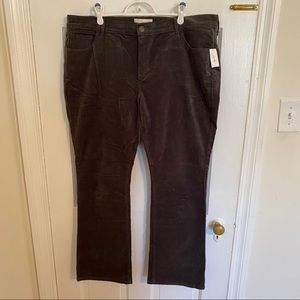 Dark Gray Corduroy Pants
